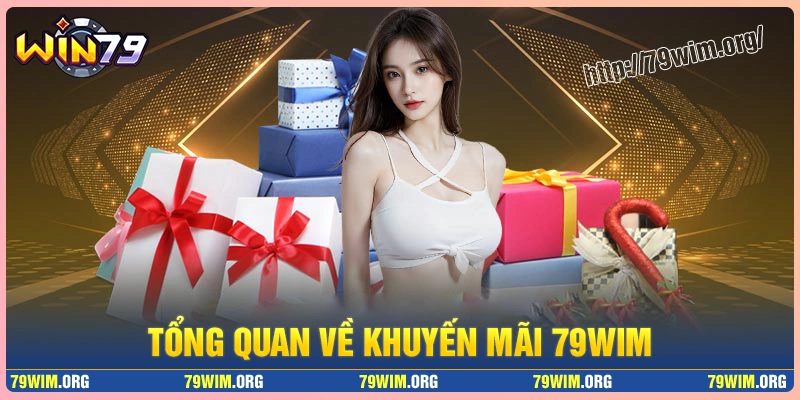 Tổng quan về chương trình khuyến mãi tại 79wim Tổng quan về chương trình khuyến mãi tại 79wim