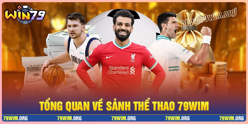 Tổng quan về trả tiền thể thao 79wim Tổng quan về trả tiền thể thao 79wim